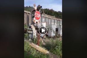 VIDEO/ Atenţie, ŞOFERI! Pericol de MOARTE pe Valea Mureşului