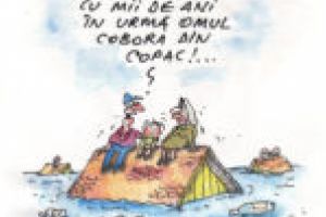 Insectarul cu nă(l)uci 1 august 2018