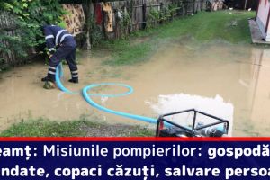 Neamţ: Misiunile pompierilor: gospodării inundate, copaci căzuţi, salvare persoane