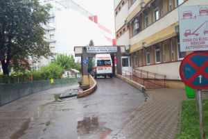 A fost confirmat primul caz de West Nile în Bacău