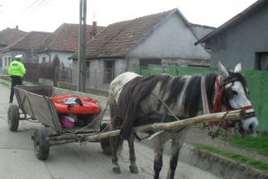Căruţaş accidentat la Plăieşii de Jos