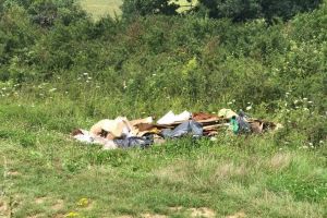 Bărbat amendat după ce a aruncat gunoiul pe marginea drumului. Un trecător l-a fotografiat