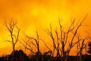 A fost creat cel mai mare UCIGAȘ. Verdict crunt: EXTERMINARE în masă