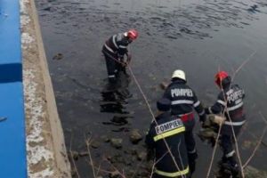 TRAGEDIE pe Dunare. Crimă sau sinucidere?