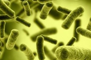 ALERTĂ! Apă contaminată cu BACTERIA UCIGAȘĂ E-COLI. Măsuri de URGENȚĂ ale autorităţilor