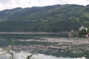 Omenirea şi-a consumat resursele pentru acest an