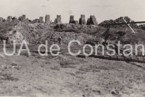 Istoria Dobrogei - oameni, popoare: Cultura tardenoaziana din epoca mezolitica