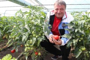 Plăţi de peste 32 milioane de euro în „Programul Tomata”