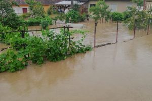 Viitura de la Vaţa de Jos, primul bilanţ