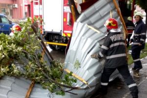Furtuna la Timisoara. Interventii de urgenta ale pompierilor, dupa ce vremea rea a facut ravagii