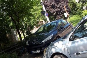 Piteşti, oraşul în care nesimţirea stă la umbră