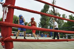 Regal pugilistic la Ștrandul Municipal din Salonta (FOTO)