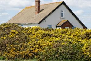 Curs gratuit privind montajul sistemelor de coşuri de fum din oţel inoxidabil la Reghin