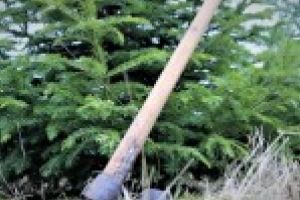 Taierile ilegale in scadere puternica in padurile administrate de ROMSILVA