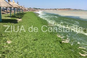 Imagini incredibile de la Vama Veche. Ce se intampla acum pe plaja (galerie foto+video)  