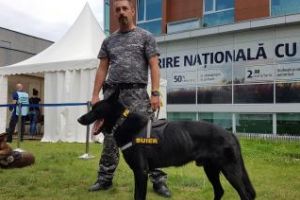 Povestea lui Șuier, câinele cu miros ”fin”... foarte ”fin”, de la Untold - VIDEO