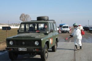 Ghilea acuză autorităţile: Ştiau de anul trecut despre pesta porcină, dar au fost mai preocupate de plăcuţele anti-PSD decât de filtre veterinare la Borş