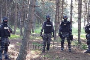 Ce au găsit poliţiştii în urma percheziţiilor de la Soveja şi Cîmpuri