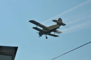 Se reia tratamentul avio