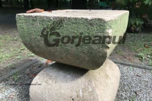 Muşchi şi licheni pe operele lui Brâncuşi