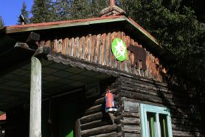 A început Festivalul „Carpatica”