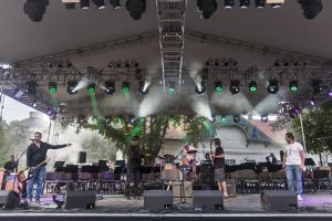 „Panorama Blues Festival”, filme şi expoziţie de flori pe Cetate, în acest weekend