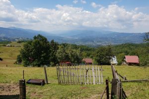 DEALU BABII – OBÂRŞIA LOTRULUI sau un şoselar la curtea Regelui MTB