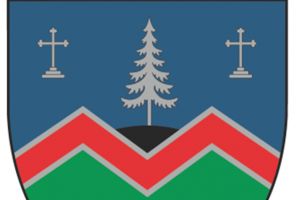 Zimbrul a fost inclus pe stema comunei Vama Buzăului