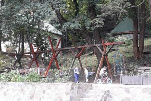 Un urs ”a servit masa” la Centrul de protecţie a copilului Sfântul Ladislau