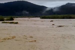 Bărbat din Straja, găsit mort în apele râului Suceava