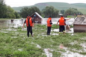 Cioban şi animale captivi între ape şi drumuri blocate de aluviuni şi arbori, în urma ...
