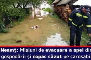 Neamţ: Misiuni de evacuare a apei din gospodării şi copac căzut pe carosabil (2 august)