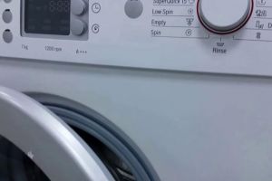 Doi moldoveni, acuzaţi că au furat o maşină de spălat din casa unui aiudean