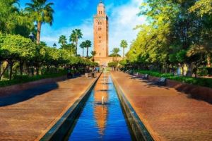 Blue Air zboară în Africa. Cursă directă către una dintre cele mai spectaculoase destinaţii de vacanţă