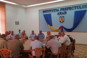 Prefectura a luat MĂSURI URGENTE în cazul epidemiei de PESTĂ PORCINĂ. Ce trebuie să facă populaţia