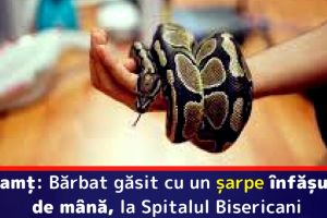 Neamţ: Bărbat găsit cu un şarpe înfăşurat de mână, la Spitalul Bisericani