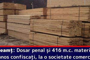 Neamţ: Dosar penal şi 416 m.c. material lemnos confiscaţi la o societate comercială