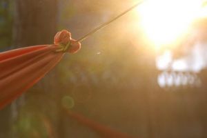 Avimag Daytime Session – oaza de relaxare din curtea Uzinei Foto