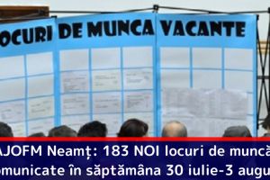 AJOFM Neamţ: 183 NOI locuri de muncă, comunicate în săptămâna 30 iulie-3 august