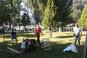 Imagini de la eveniment. Constanta. Actiune de montare a tutorilor si de ingrijire a copacilor in Parcul de la Gara (galerie foto)