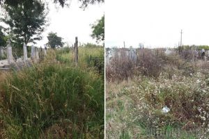 Cimitir ca-n junglă: În cimitirul din Talpoş bălăriile sunt mai înalte decât crucile mormintelor