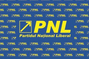PNL a modificat procedura şi calendarul privind desemnarea candidaţilor la europarlamentare. Care sunt criteriile de evaluare