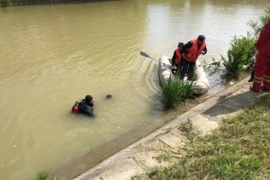 Cautari la Lugoj dupa ce mai multi trecatori au vazut un cadavru care plutea in Timis