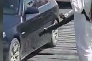 Autorităţile din Galaţi ”dezinfectează” maşinile cu AER împotriva pestei porcine africane