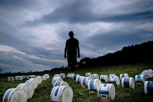 No Limit la artFORest Sângeorz-Băi, ediţia 30