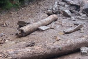 Turişti blocaţi pe Valea Cernatului, la Nucşoara. Au intervenit jandarmii şi pompierii