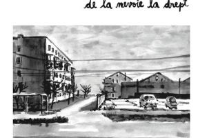 Situatia locuintelor sociale din Timisoara, intr-o revista care se lanseaza in aceasta saptamana