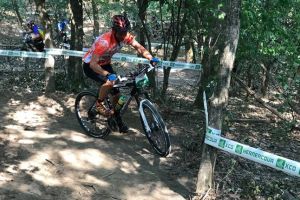 Atacul insectelor in Timis. 14 persoane intepate, la un concurs de ciclism