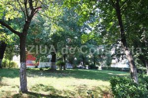 PNL Constanta a demarat campania 300.000 de constanteni pentru minim 300 de hectare de spatiu verde