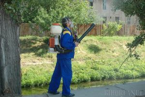 Primăria Oradea anunţă o nouă dezinsecţie pentru distrugerea ţânţarilor şi tratamente fitosanitare la arbori şi arbuşti